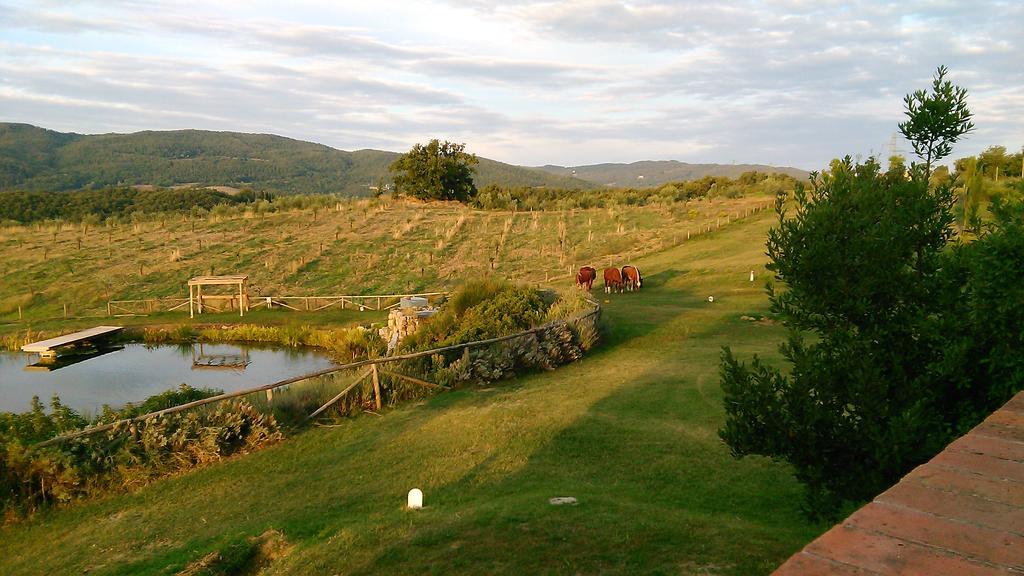 Fattoria San Paolo Agriturismo Montecastelli Pisano Εξωτερικό φωτογραφία