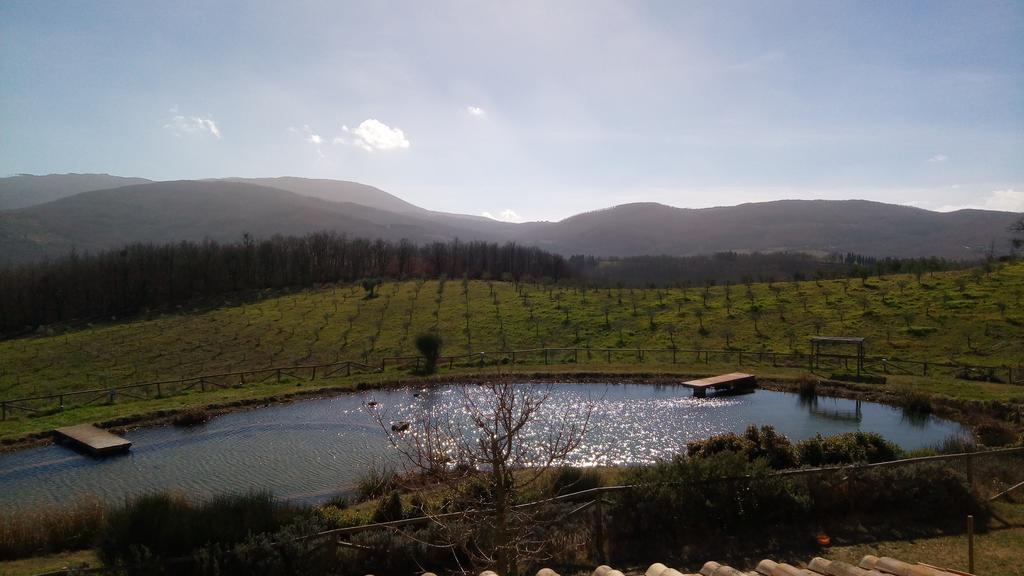 Fattoria San Paolo Agriturismo Montecastelli Pisano Εξωτερικό φωτογραφία