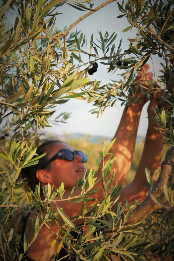 Fattoria San Paolo Agriturismo Montecastelli Pisano Εξωτερικό φωτογραφία